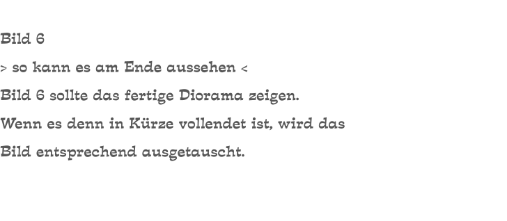 Bild 6 > so kann es am Ende aussehen < Bild 6 sollte das fertige Diorama zeigen. Wenn es denn in Kürze vollendet ist, wird das Bild entsprechend ausgetauscht.